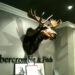 Are Abercrombie moose head real?