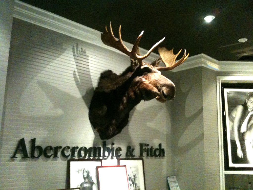 Are Abercrombie moose head real?