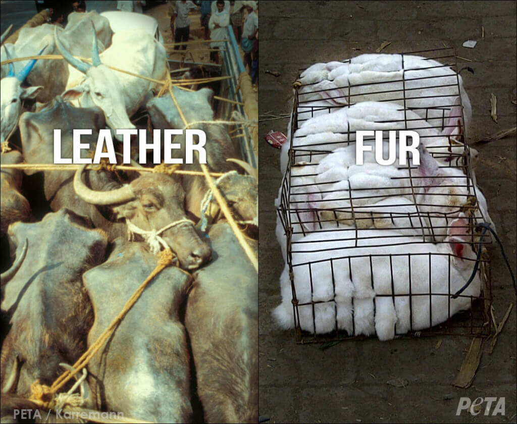 Are animals killed specifically for leather?