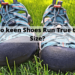 Do Tods run true to size?