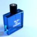 Does Bleu de Chanel smell good?