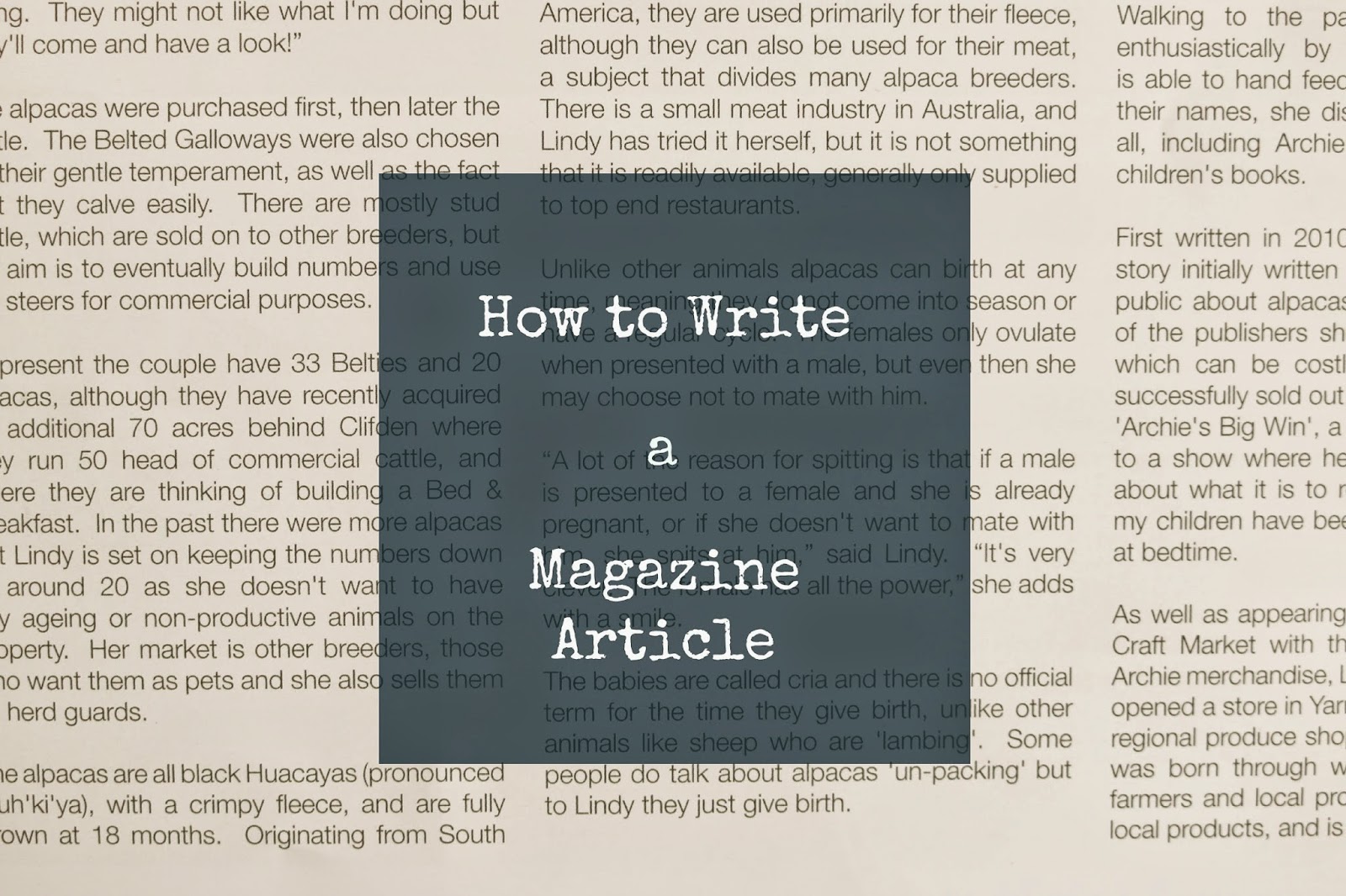 How do you write a magazine interview?