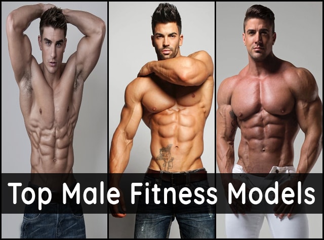 How many types of male models are there?