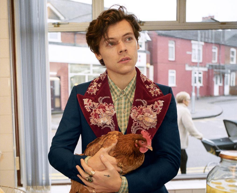 Is Harry Styles face of Gucci?