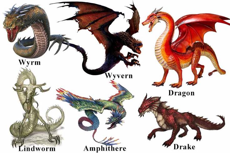 Is a Drake a type of dragon?