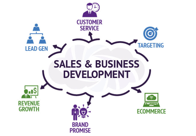 Is business development same as sales?