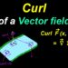 What are the 3 parts of a curl?