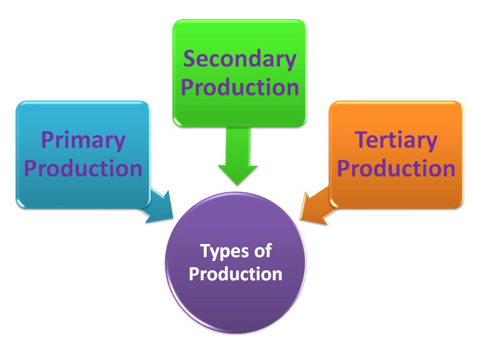 What are the different types of production companies?