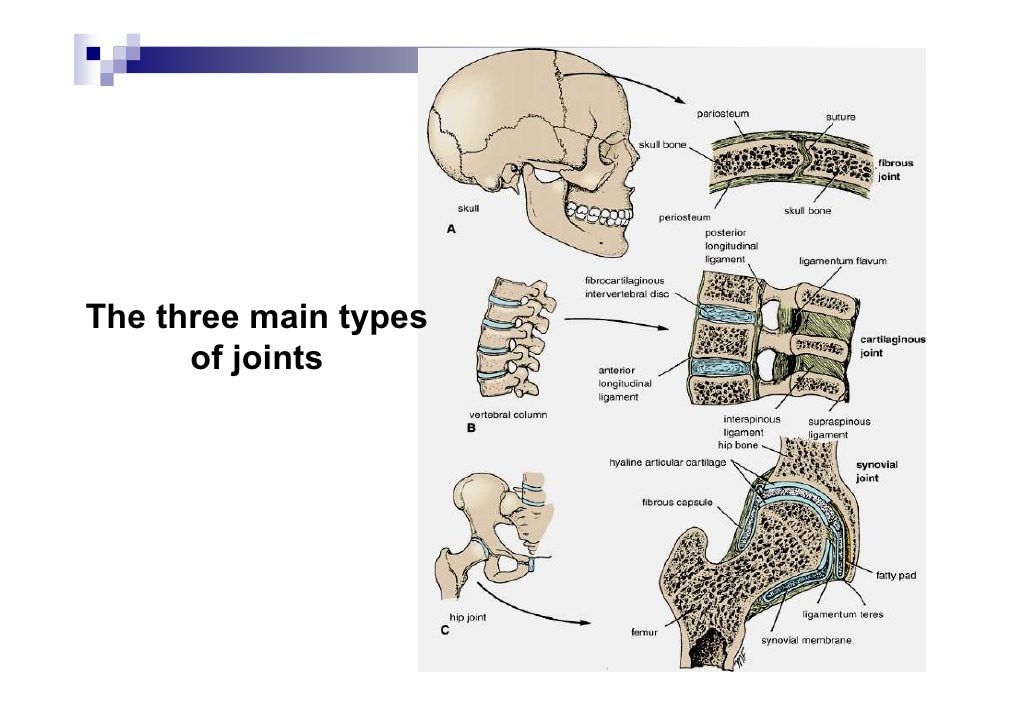 What are the three main types of models?