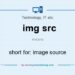 What does IMG stand for?