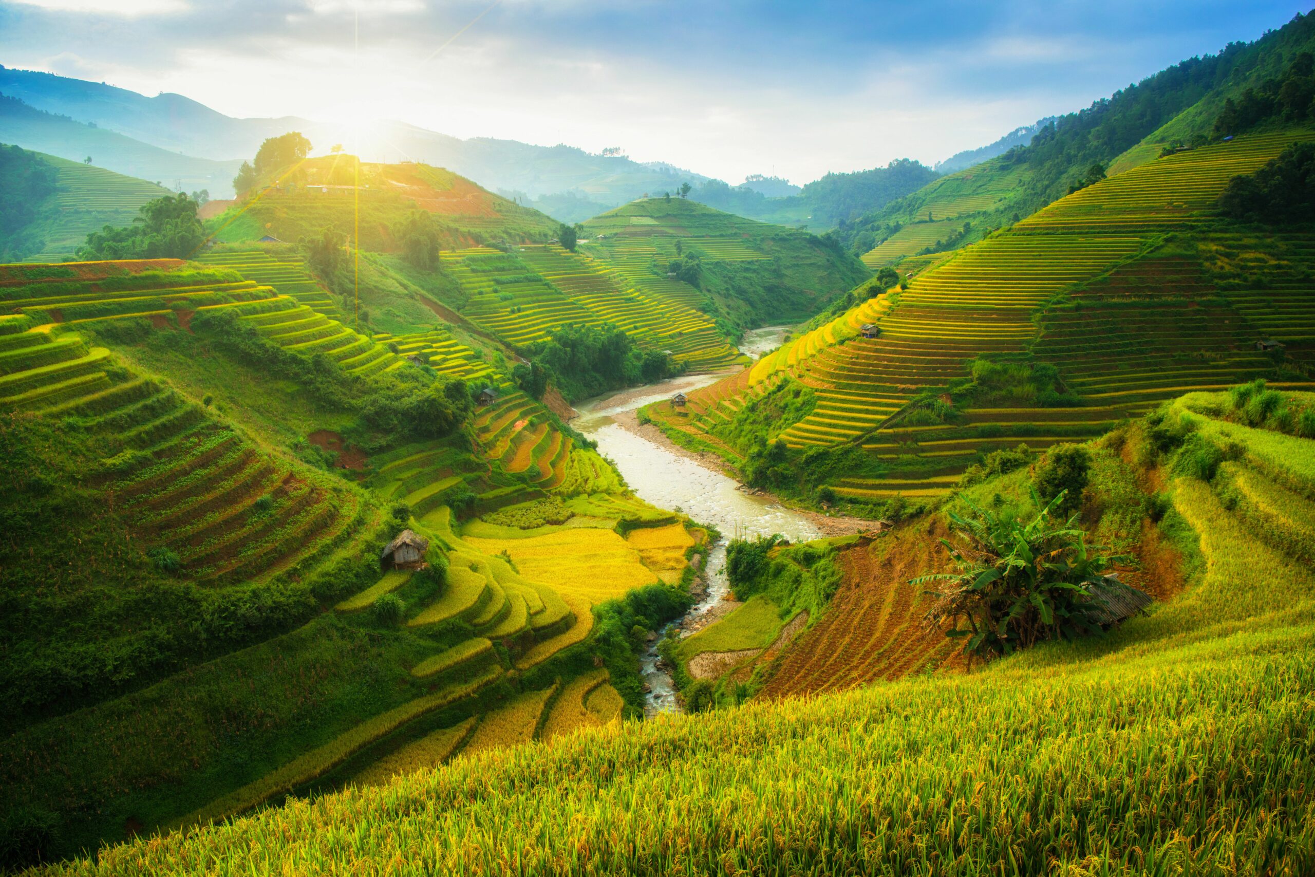 What is the best month to go to Vietnam?