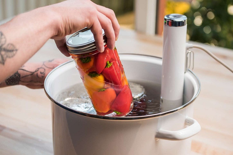 What is the best sous vide?