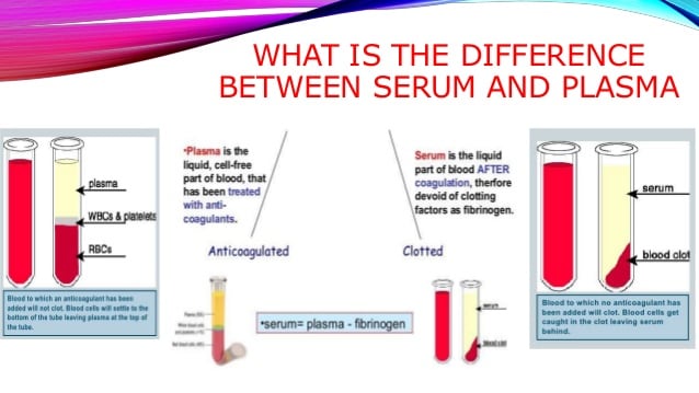 What is the difference between specimen and models?