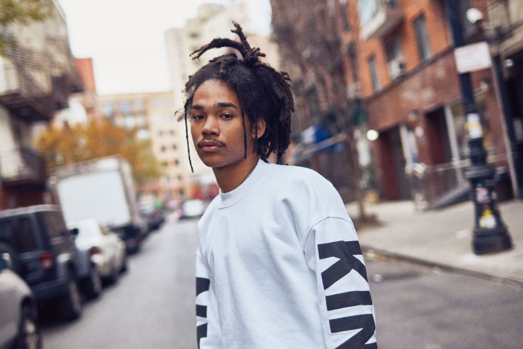 Who has Luka Sabbat worked with?