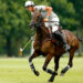 Who is the best polo player in the world?