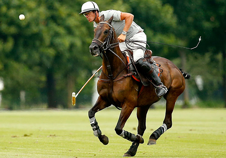 Who is the best polo player in the world?
