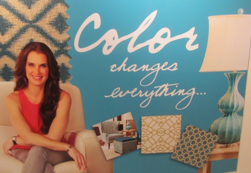 Why did Brooke Shields leave Lazy Boy?