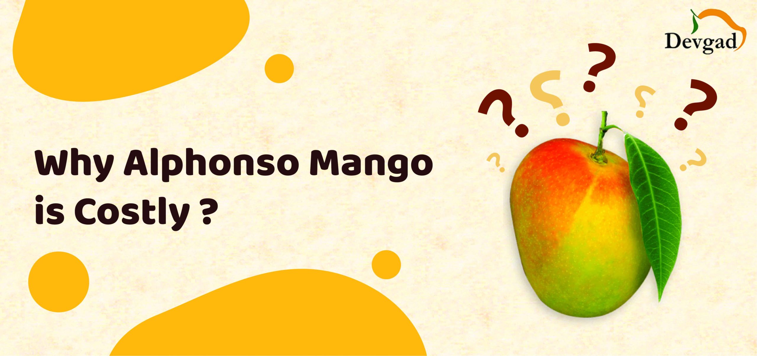 Why is Alphonso mango so expensive?