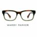 Why is Warby Parker so popular?