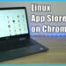 How do I get Linux on my Chromebook?