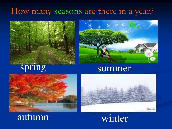 How many seasons are in Maid?