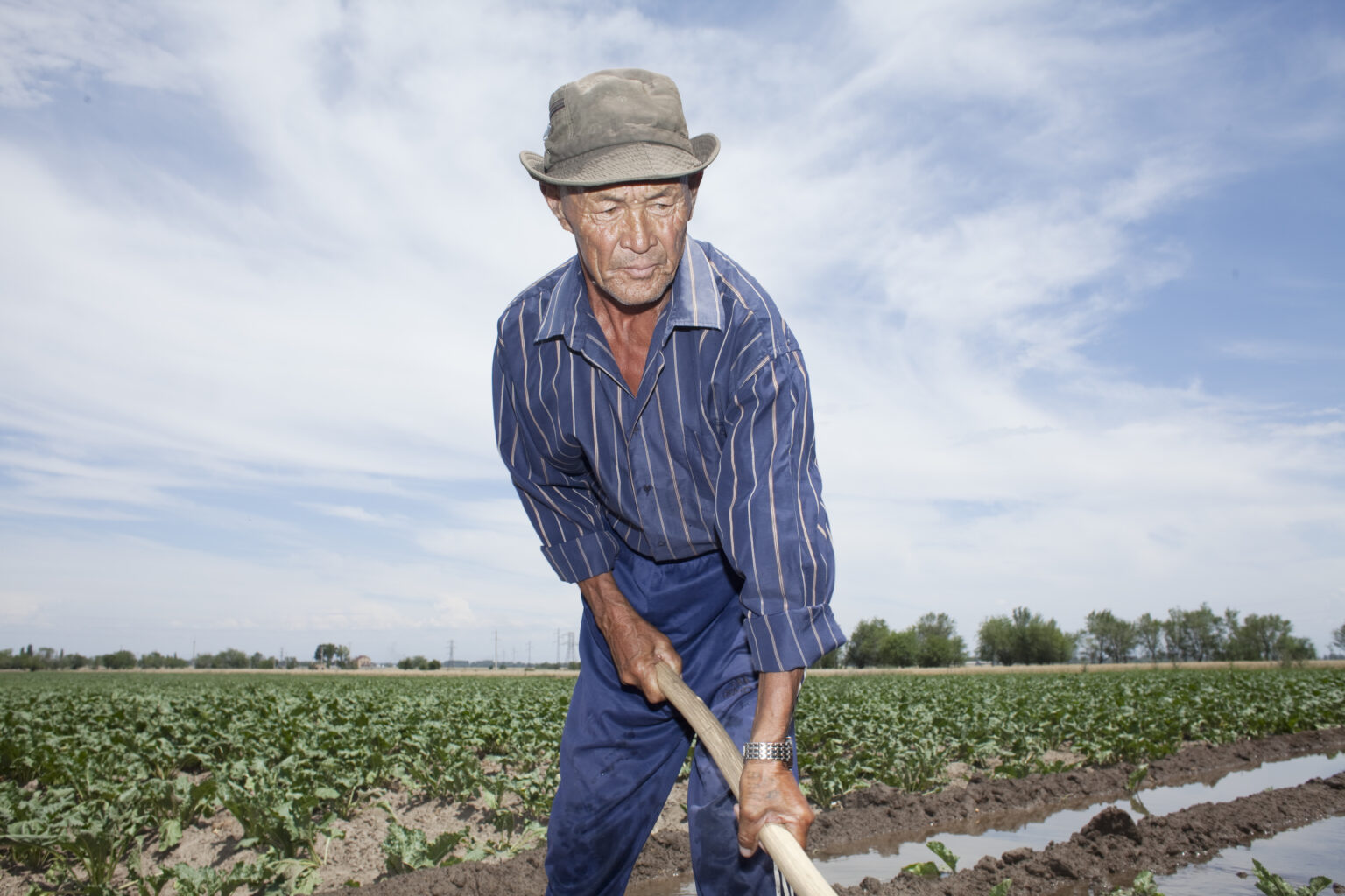 Farmers trainings. Harvest team. Сельскохозяйственные работы. Отключенные фермеры картинки. Работники сельского хозяйства.