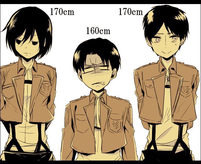 How tall is Levi Ackerman?