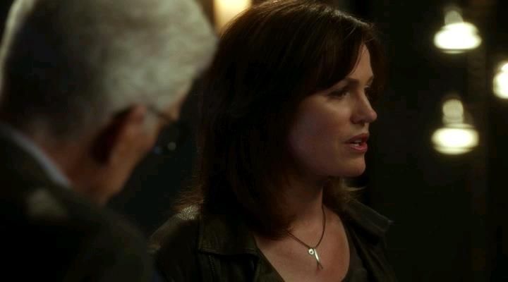 Is Jorja Fox Returning to CSI?