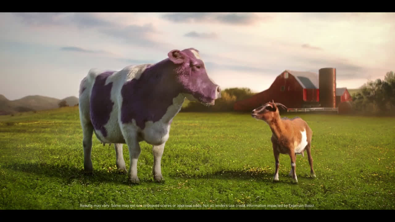 Is the Experian boost cow a real cow?