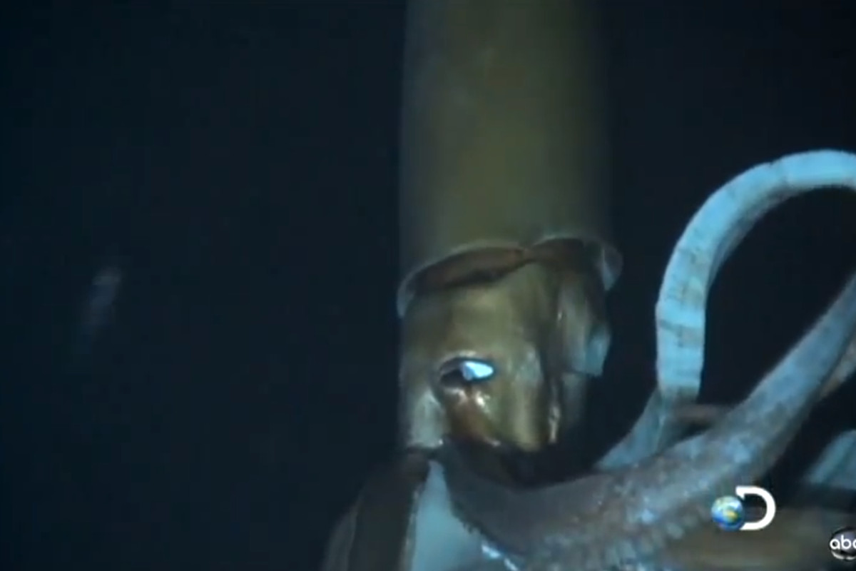 Is the Squid Game real in real-life?