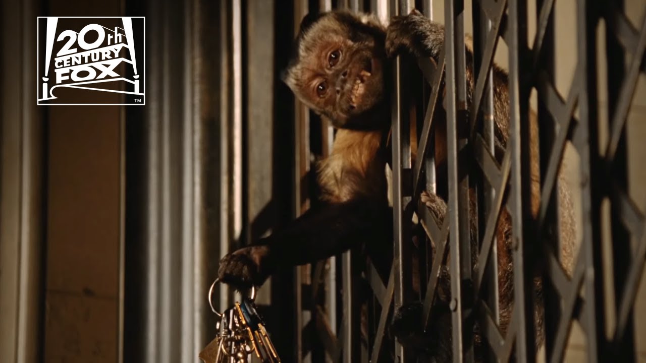 Is the monkey in Night at the Museum real?