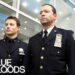 Is there another season of Blue Bloods?