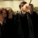 Was James Potter a bully?