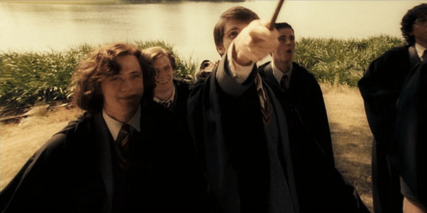 Was James Potter a bully?