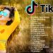 What are the songs used in TikTok?