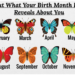 What do butterflies in your belly mean?