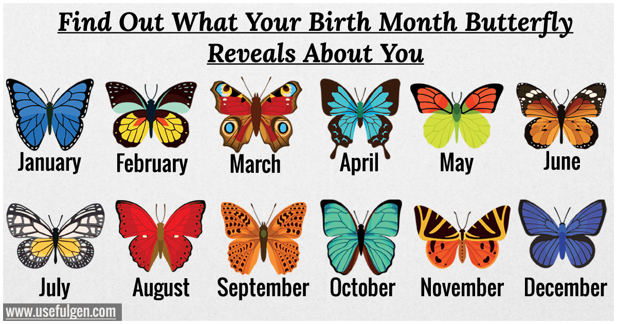 What do butterflies in your belly mean?