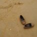 What does sand in my shoes mean?