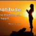 What is the meaning of grateful heart?