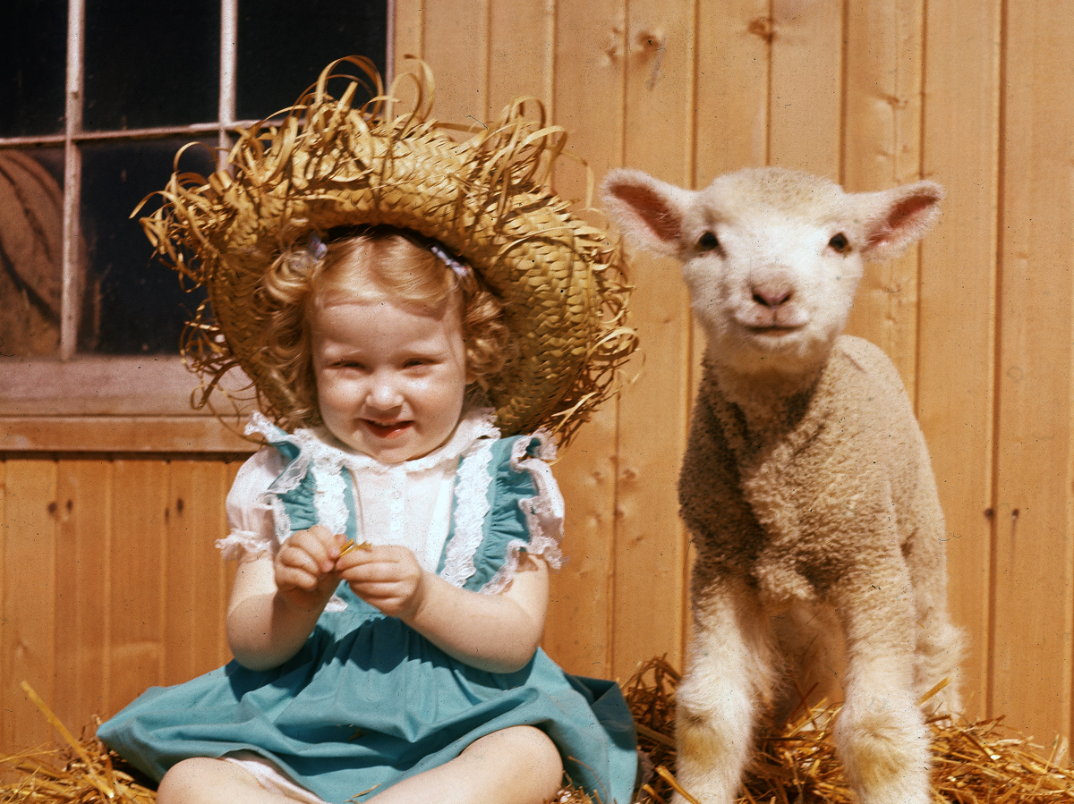 What is the real meaning of Mary had a little lamb?