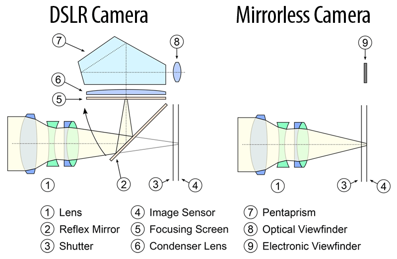 What’s the difference between Tonal and the mirror?