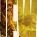 Where does Boba Fett take place in the timeline?