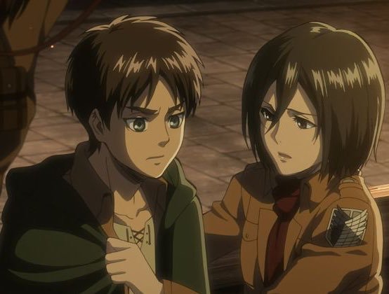 Who did Mikasa marry?