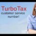 Why is TurboTax no longer free?